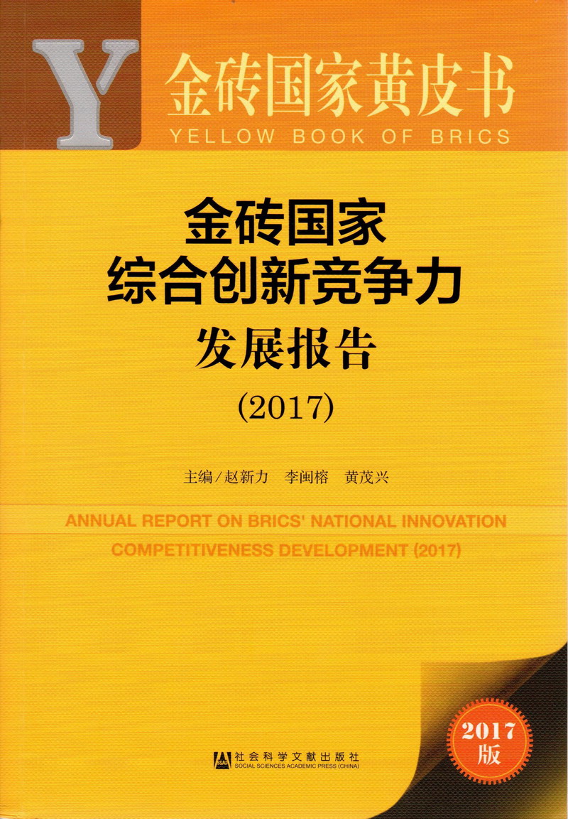 男人鸡巴操逼视频金砖国家综合创新竞争力发展报告（2017）